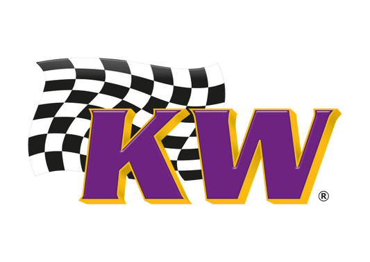 KW 81-83 DeLorean DMC-12 V2 Classic Coilover Kit