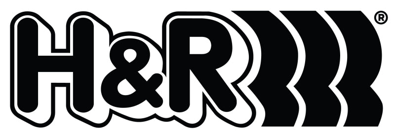 H&R 19mm Tapered w/ Shank M 12 x 1.5 Lug Nut