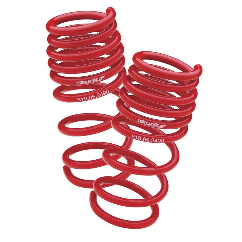 Skunk2 02-04 Acura RSX Lowering Springs (2.25in - 2.00in.) (Set of 4)