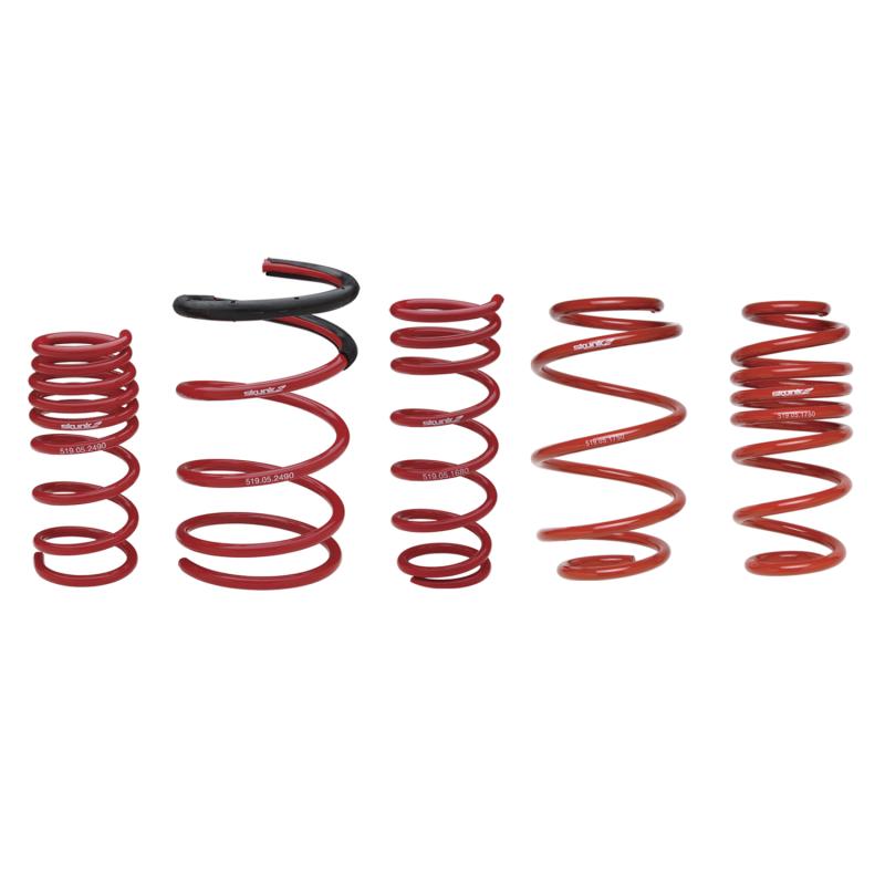 Skunk2 Universal Race Spring (Straight) - 8 in.L - 2.5 in.ID - 10kg/mm (0800.250.010S)
