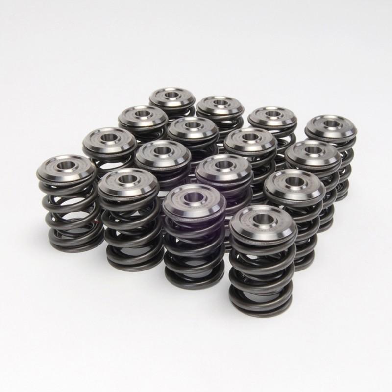 Skunk2 Alpha Series Honda/Acura H Series Valve Spring and Titanium Retainer Kit