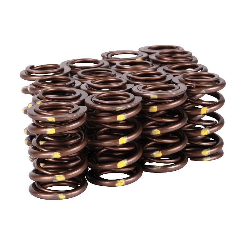 Skunk2 Pro Series Honda/Acura K-Series i-VTEC XP Valve Spring Set (Dual Springs)