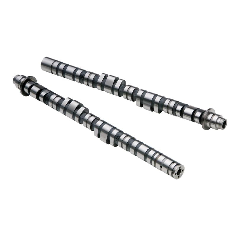 Skunk2 Tuner Series D-Series Honda Stage 4 Camshaft